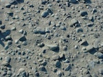 Wrybill | Ngutu pare. Nest with eggs and footprints. Upper Rangitata River, September 2005. Image © Nicholas Allen by Nicholas Allen.