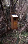 Forbes' parakeet. Nest box located in Douglas Basin. Mangere Island, December 2000. Image © Terry Greene by Terry Greene.