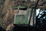 Black robin | Karure. 'Old Blue's' nest box. Mangere Island, Chatham Islands, January 1988. Image © Alan Tennyson by Alan Tennyson.