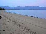 Spotted shag | Kawau tikitiki. Flock gathering before sunrise. Tata Beach, Golden Bay, June 2011. Image © Joke Baars by Joke Baars.