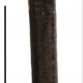 New Zealand lake-wanderer. Holotype right tarsometatarsus (NMNZ S.50806). Scale bar = 10 mm. St Bathans. Image &copy; Vanesa De Pietri by Vanesa De Pietri