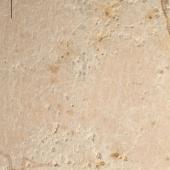 Little bush moa | Moariki. Egg surface detail (NMNZ S.000457, collected by William Hartree. Ruakokoputuna, Martinborough. Image &copy; Te Papa by Jean-Claude Stahl