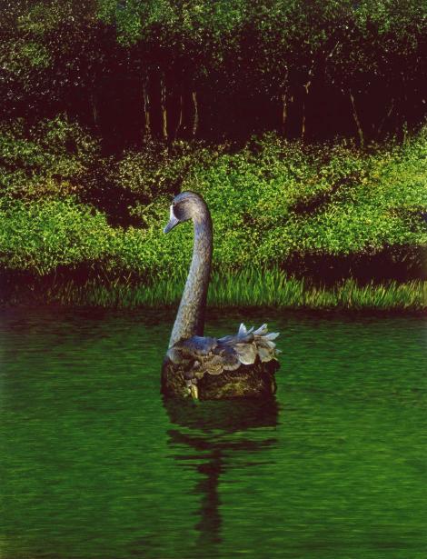 New Zealand swan | Matapu. Painting. . Image &copy; Paul Martinson by Paul Martinson painting